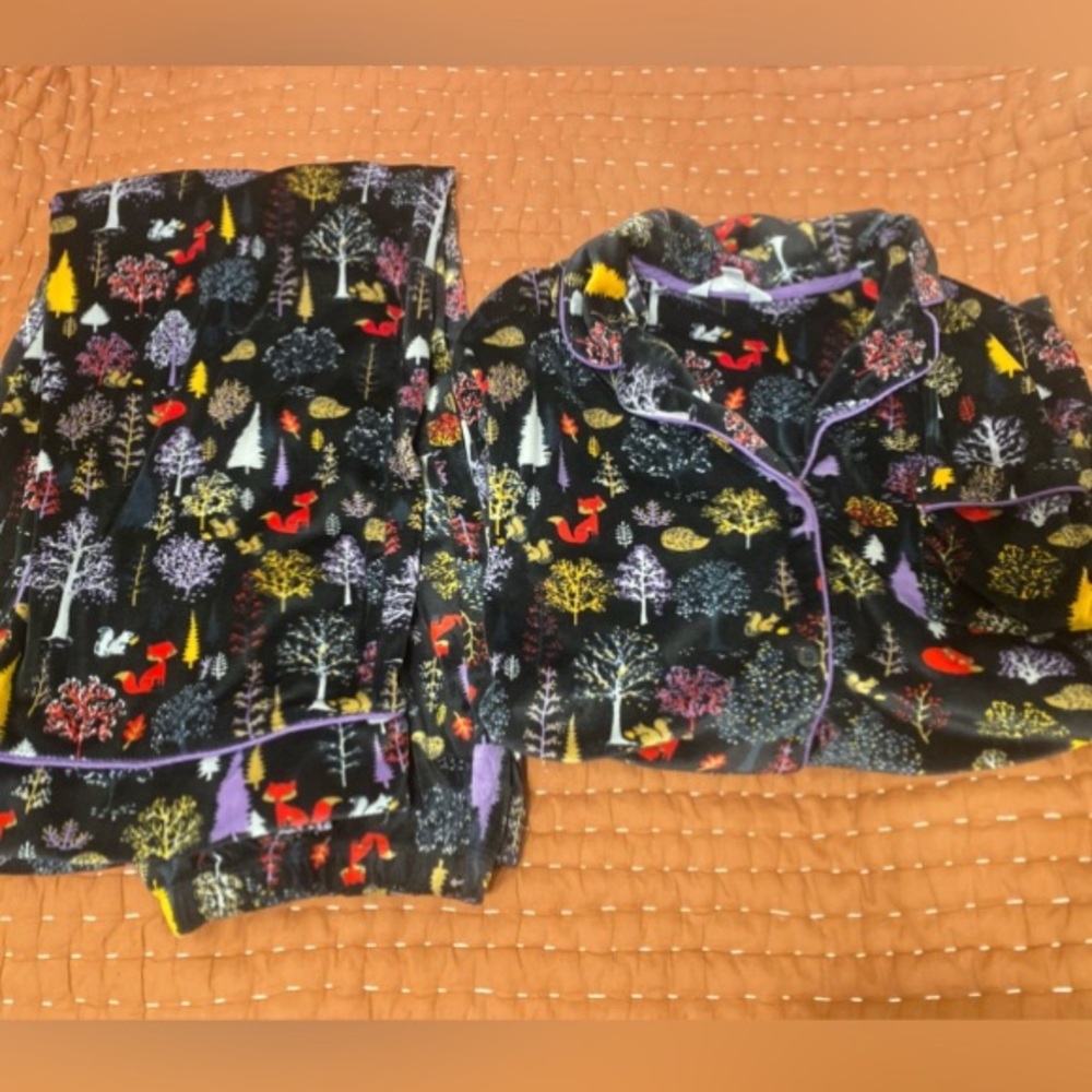 Secret Treasures Women's Stretch Velour Long Sleeve Notch Collar Pajama Set